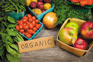 Organic Bio Expo Iceland: Shaping a Sustainable Future Through Innovation